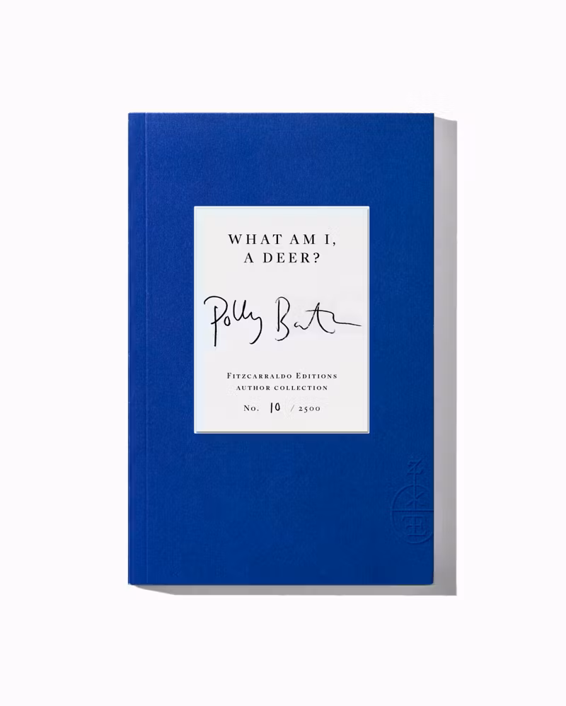 Image for What Am I, A Deer?