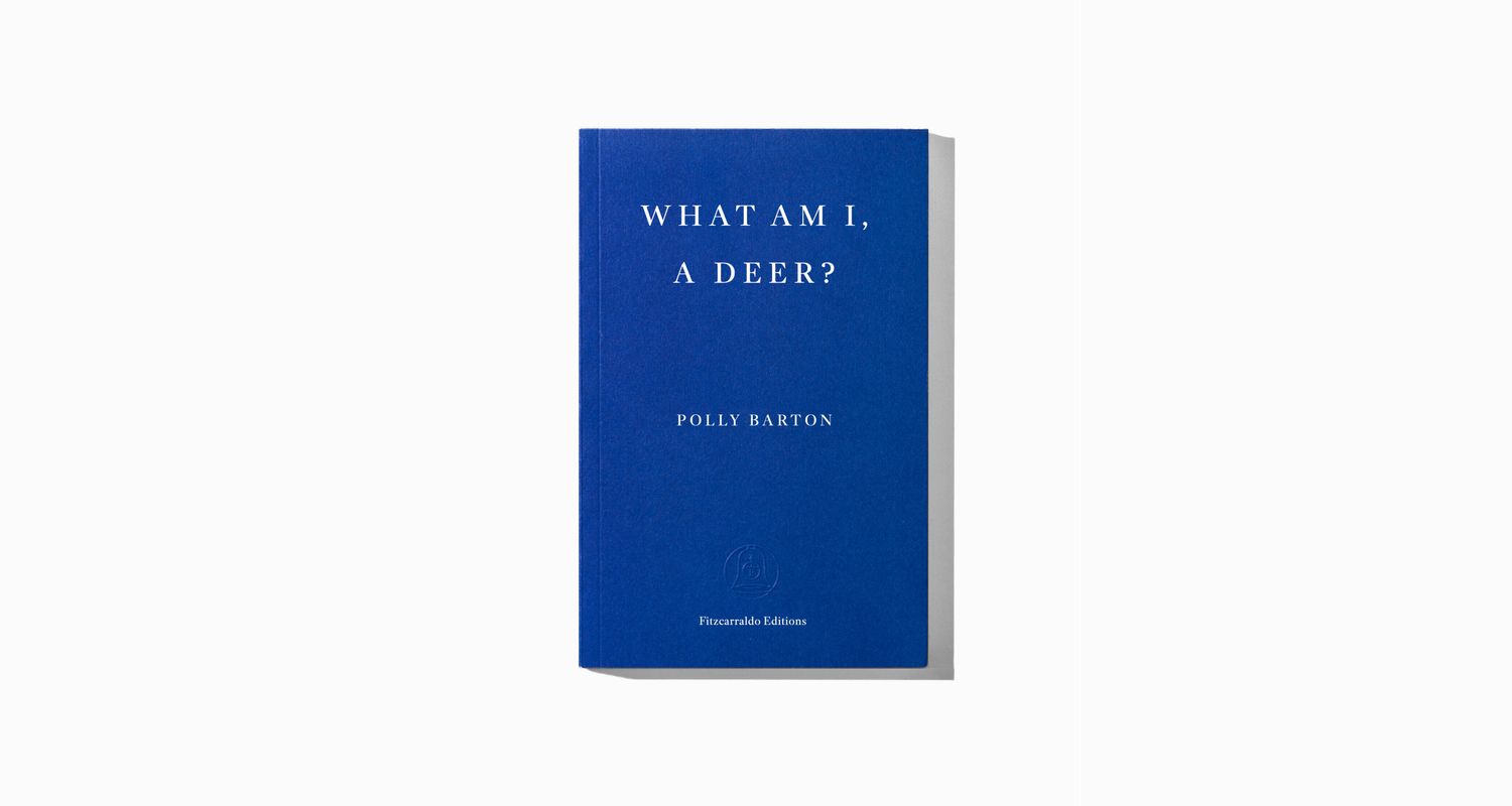 What Am I, A Deer? by Polly Barton | Fitzcarraldo Editions